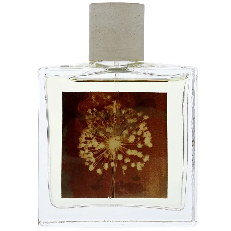 Allsaints Incense City Eau de Parfum Spray 100ml Image 1