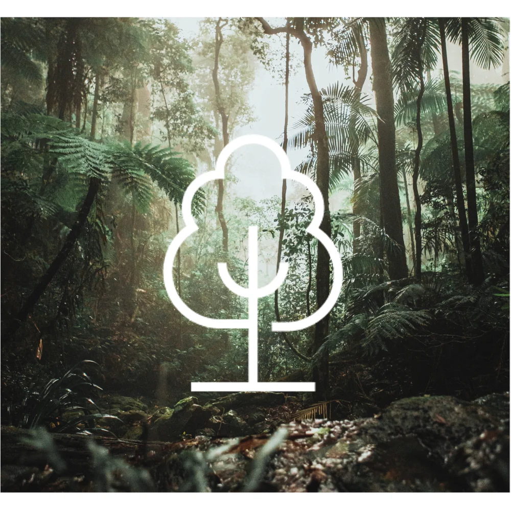 More Trees 1 tree planted via More Trees Image 1