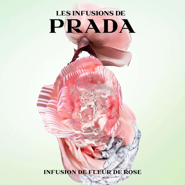 Prada Infusion de Rose Eau de Parfum Spray 100ml