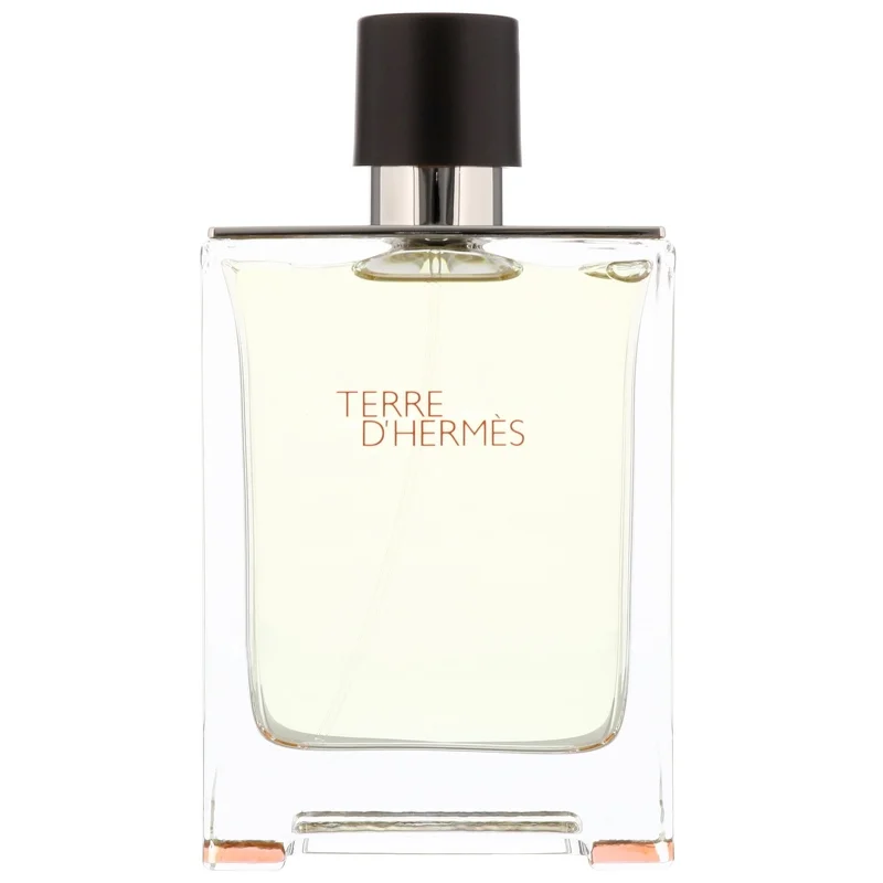 Hermès Terre d’Hermès Eau de Toilette Spray 100ml Image 1