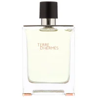 Hermès Terre d’Hermès Eau de Toilette Spray 100ml