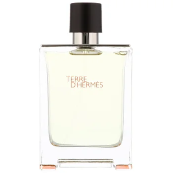 Hermès Terre d’Hermès Eau de Toilette Spray 100ml