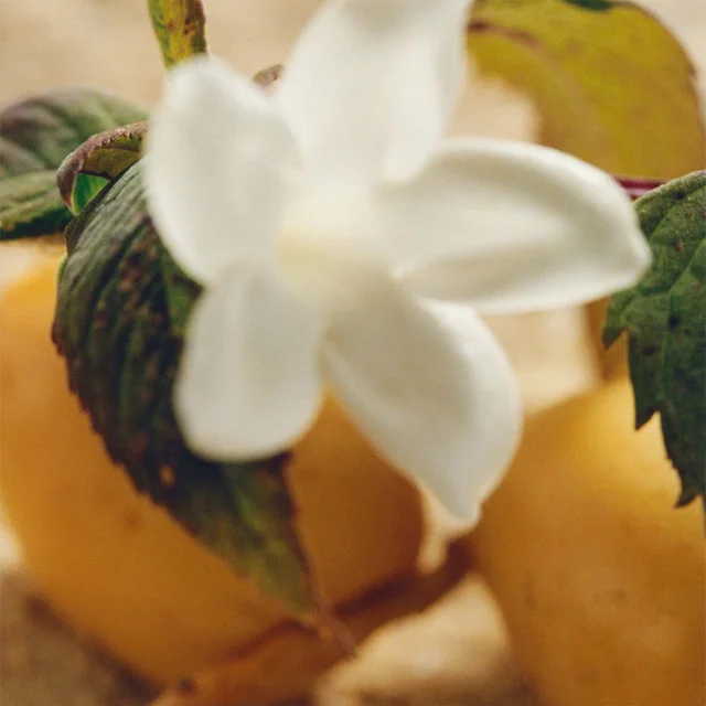 Chloé Nomade Jasmin Naturel Intense Eau de Parfum Intense 30ml