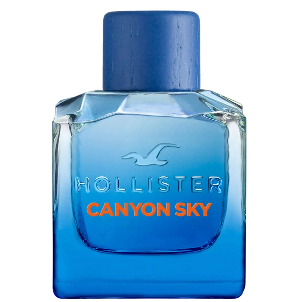 Hollister Canyon Sky For Him Eau de Toilette 100ml Image 1