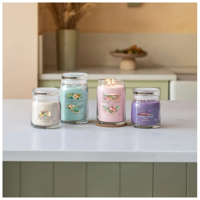 Yankee Candle Signature Jar Candle Large Aloe & Agave 567g