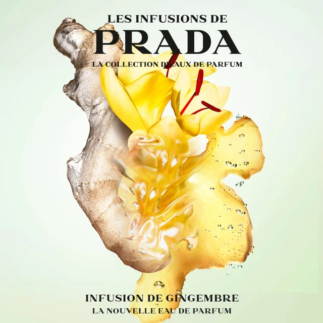 Prada Infusion de Gingembre Eau de Parfum Spray 100ml