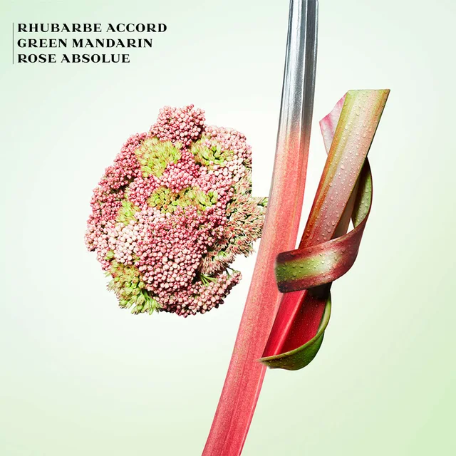 Prada Infusion de Rhubarbe Eau de Parfum Spray 100ml