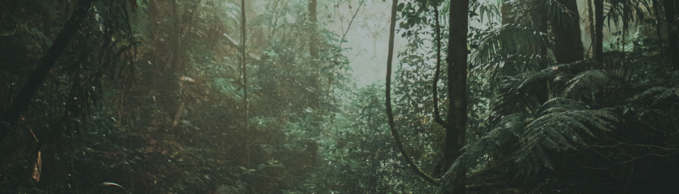 More Trees primary banner