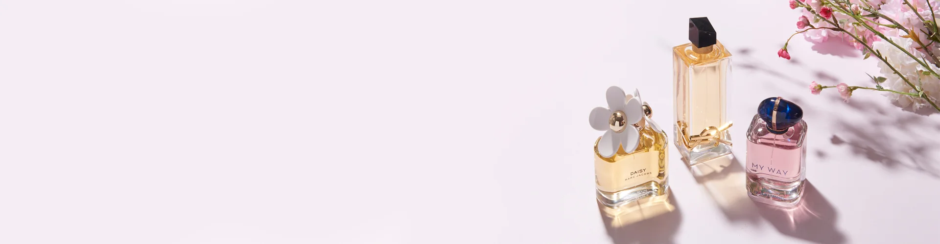 Week 8 Spring Sanctuary Hero Banner